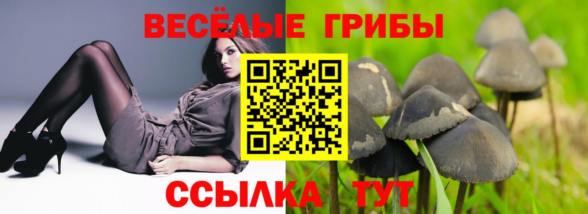 Галлюциногенные грибы прущие грибы  Вход с VPN  даркнет сайт  Галлюциногенные грибы Cubensis  Коряжма 